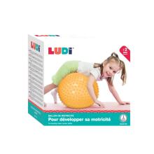 Мяч для фитнеса LUDI, 45 см