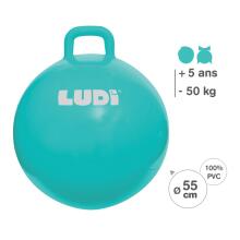 Мяч-прыгун LUDI, синий 55 см