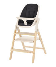 Детский стульчик Carrello ERGO CRL-16701 Obsidian Black