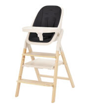 Детский стульчик Carrello ERGO CRL-16701 Obsidian Black