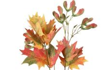 4Living Maple одинарный 75 см