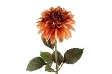 4Living Dahlia big flower 74 cm assortment