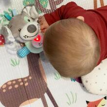 WOOPIE BABY Interactive Plushie Baby Cuddly Toy Light Sound Dog Sleeper