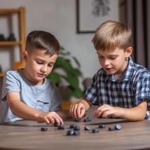 Magnetic Chess Game Art.248663  Magnētiskā šaha spēle