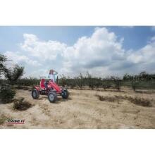 BERG XL Pedal Gokart Case IH BFR