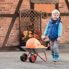 Bērnu dārza ķerra Rolly Toys Divriteņu metāla