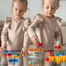 WOOPIE Balance Animals Arcade Game Dzīvnieku tornis