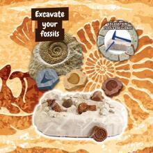 Science kit - Excavations - Fossils