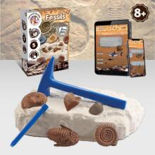 Science kit - Excavations - Fossils