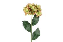 4Living Hydrangea single 60 cm assortment