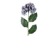 4Living Hydrangea single 60 cm assortment