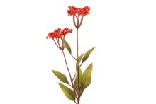 4Living Berry spray orange 75 cm