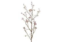 4Living melleņu izsmidzināšana 77 cm assortiments