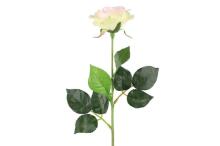 4Living roze vienīgā 52 cm sortiments