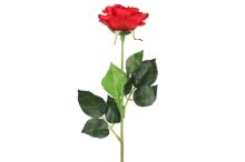 4Living roze vienīgā 52 cm sortiments