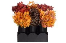 4Living Autumn branch assortment display