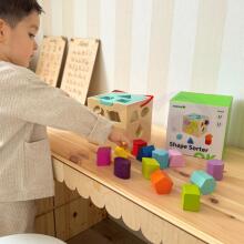 TOOKY TOY Koka formu šķirotājs krāsainā kubā ar krāsainiem rakstiem 13 gab.