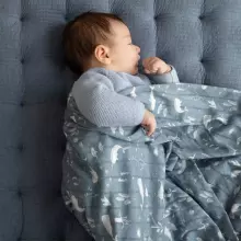 Aden Anais Muslin Swaddles Art.251298 Sinised Virmalised  High quality bamboo muslin swaddle, 1 pc. (120x120 cm)