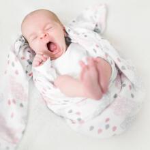 Aden Anais Muslin Swaddles Art.251313 Skylight High quality bamboo muslin swaddle, 1 pc. (120x120 cm)
