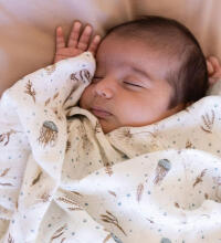 Aden Anais Muslin Swaddles Art.251315 Expedition High quality bamboo muslin swaddle, 1 pc. (120x120 cm)