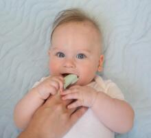 DR.BROWN’S silicone teething brush for cleaning teeth, with box, green