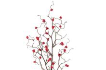 4Living Berry spray 78 см