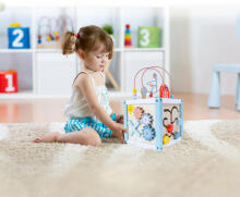 Деревянный обучающий куб-сортировщик + блоки ECOTOYS
