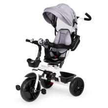 360° Rotating Tricycle with Canopy Grey ECOTOYS