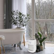 Webber DEQ10 air dehumidifier