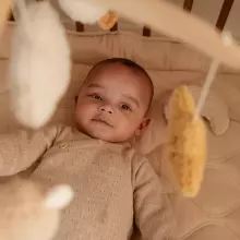 Little Dutch Musicale Mobile Art.8400 Newborn Natural   Музыкальная карусель на кроватку