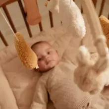 Little Dutch Musicale Mobile Art.8400 Newborn Natural   Музыкальная карусель на кроватку