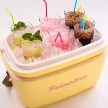 Polarbox Cool Box Retro Cooler Art.256940 Pink kempinga ledusskapis/aukstumkaste 20L