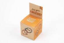 RECENT TOYS Logic game "Are You Series"
