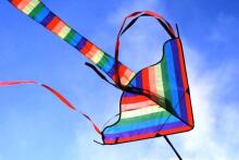 BebeBee Air Kite Art.8226148 Lidojošais gaisa pūķis