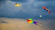 BebeBee Air Kite Art.8226148 Lidojošais gaisa pūķis