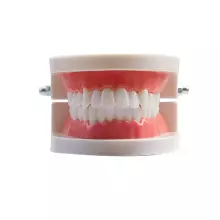 Doctor Set Smile Dentist Teeth Art.260086 Drosmīgā zobārsta komplekts Zobi -  Supervaroņa smaids