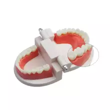 Doctor Set Smile Dentist Teeth Art.260086 Drosmīgā zobārsta komplekts Zobi -  Supervaroņa smaids