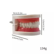 Doctor Set Smile Dentist Teeth Art.260086 Drosmīgā zobārsta komplekts Zobi -  Supervaroņa smaids