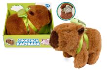 ARTYK 185823 Pastaiga Kapibara