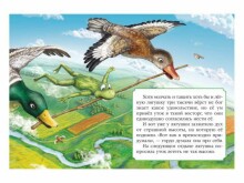 Knyga vaikams (rusų kalba) Лягушка-путешественница