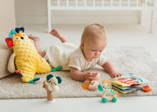 JOLLYBABY JB 82599 Dāvanu komplekts dzīvnieki