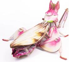 MAKEBUG 3D papīra puzle Orhideju dievlūdzējs, MB-B-0003