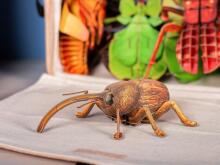 MAKEBUG 3D papīra puzle Degunradžvabole, MB-B-0004