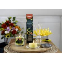Candle aroma. glass gl. Floral Fusion &Oslash;80x72mm sunflower &amp;amp; citrus