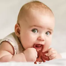 Haakaa Silicone Teether Clover Art.TPS038-C  Silicone rattle (100% natural)
