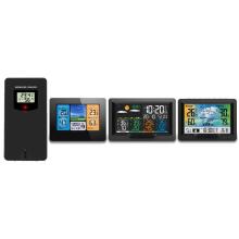Weather Station Transmitter BD-920 Berdsen Black