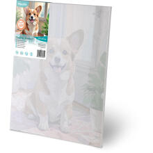 Painting by Numbers Image 40x50 cm Massido Corgi Dog