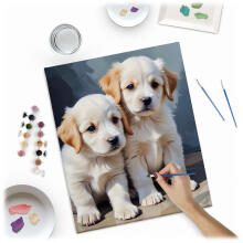 Painting by Numbers Image 40x50 cm Massido Puppies