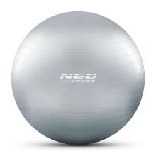 65 cm Exercise Ball NS-951 Silver