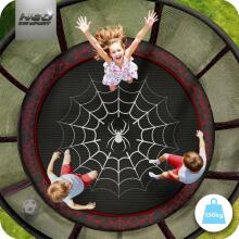 10ft/312cm Garden Trampoline with External Net and Ladder Neo-Sport